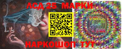 apvp Кингисепп