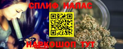 apvp Кингисепп