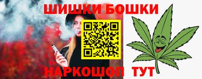 apvp Кингисепп
