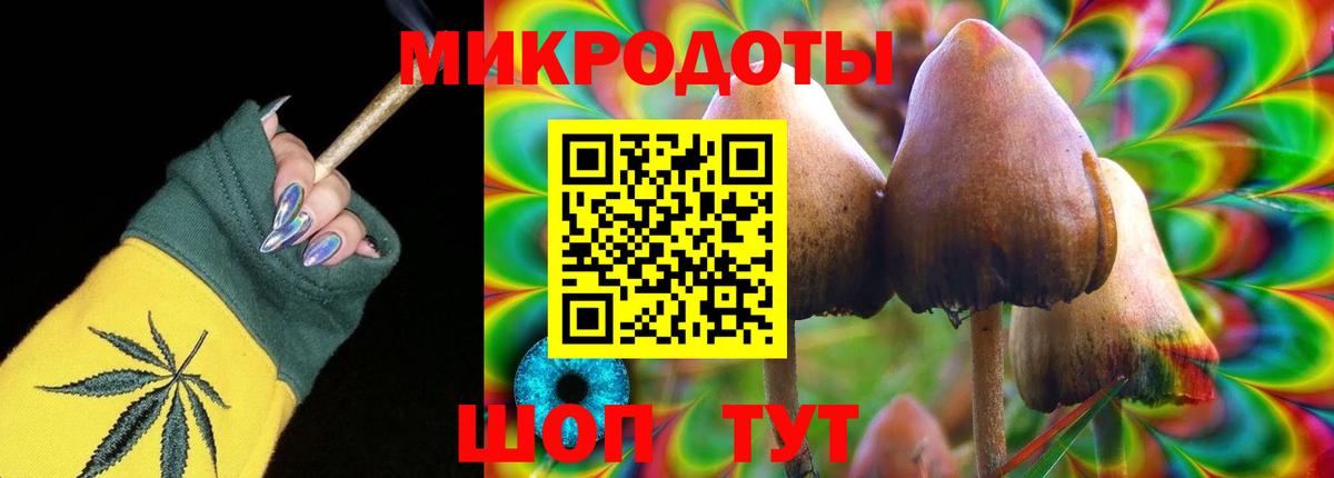 Псилоцибиновые грибы мицелий  Псилоцибиновые грибы мицелий  Вход с VPN  Курчатов 
