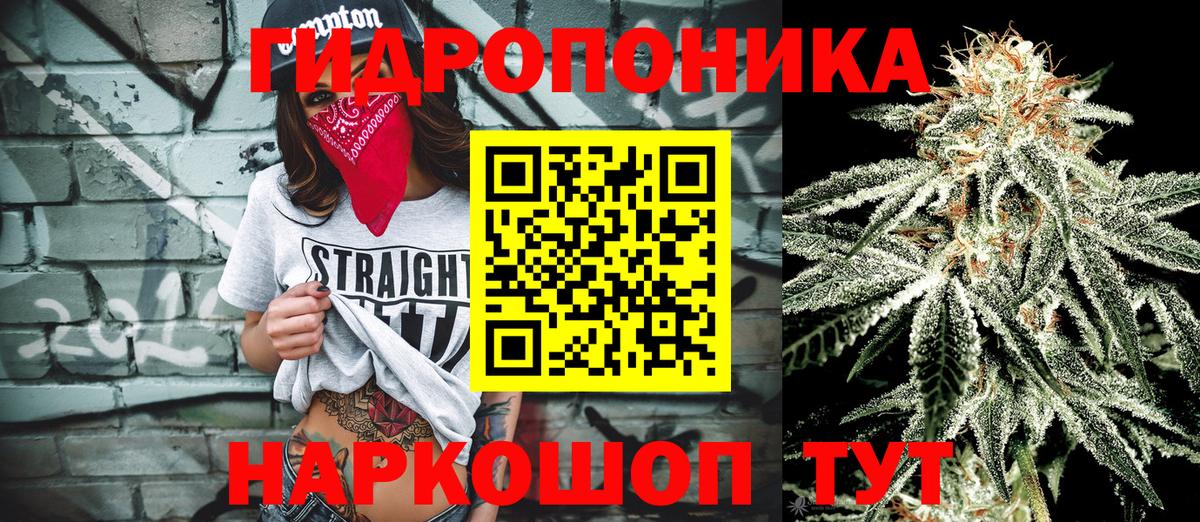 Бошки Шишки Amnesia Курчатов